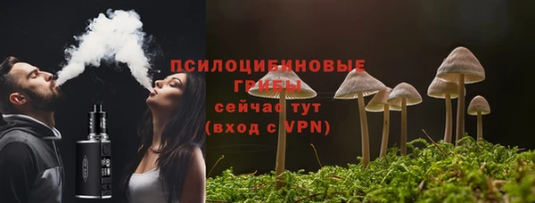 спиды Арсеньев