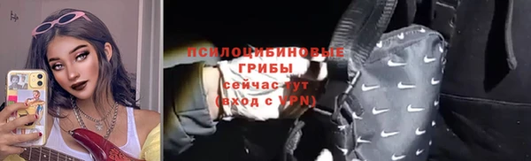 спиды Арсеньев