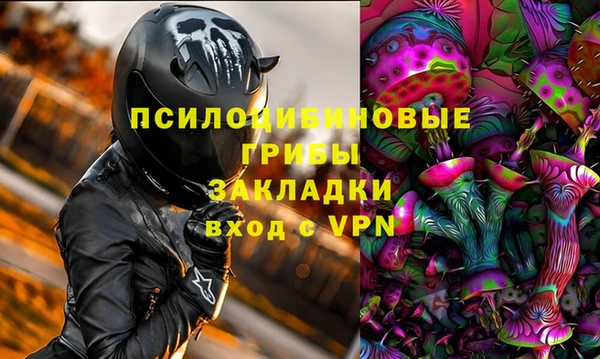 спиды Арсеньев